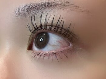 フリー#240(Free#240)/ラッシュリフトカール×下エク