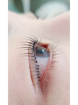 コア(Koa)/横からもさらに美しく