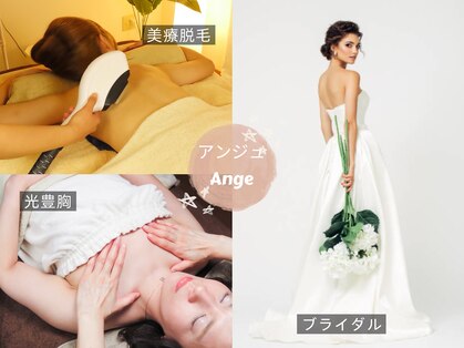 アンジュの写真