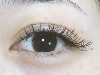 アイラッシュリング(EYELASH RING)/フラットラッシュ180本
