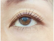 ペルシャ(Persian)/お客様デザイン（担当:宮井）