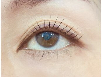 ペルシャ(Persian)/お客様デザイン(担当:宮井)