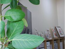 ディア ネイル 中野(Dia nail)