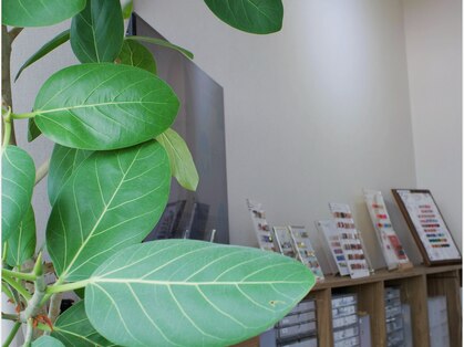 ディア ネイル 中野(Dia nail)の写真