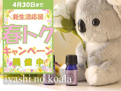 癒しのコアラ 一条 大宮店の写真