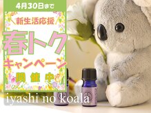 癒しのコアラ 一条 大宮店