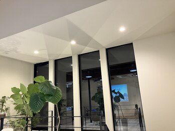 スピードスタイル(Speed Style)/音、緑、花の癒し空間