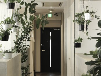 イーヨー 姪浜店(Eyore)/店内入り口