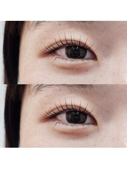 シピ 柏東口店(Chipie)/メーテルロッド×さかがみ