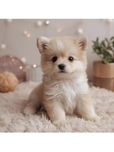 シトロン(Citron)&nbsp;Rin 名