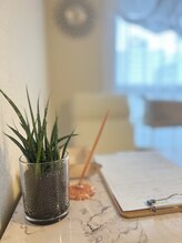 サリー(Sally)/サロン内雰囲気