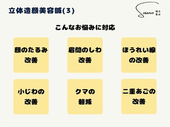 ソウノ 御茶ノ水(Souno)/立体造顔美容鍼(3)