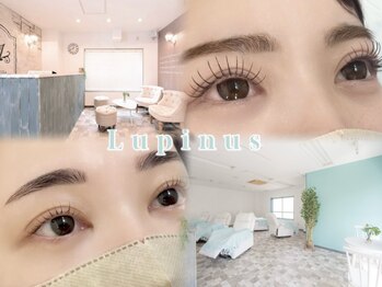 ルピナス 川口(Lupinus)