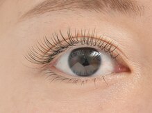 ラモ(Ramo)/フラットラッシュ140本