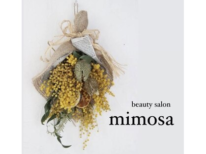 ミモザ(mimosa)の写真