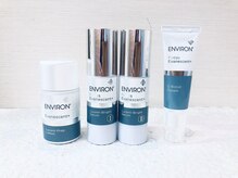 ミドリ(MIDORI)/ルーセントブライトシリーズ