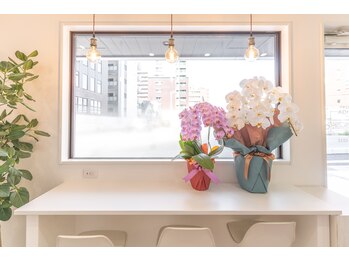 エール シガ(AILE SHIGA)/【腰痛・腰の重だるさ】