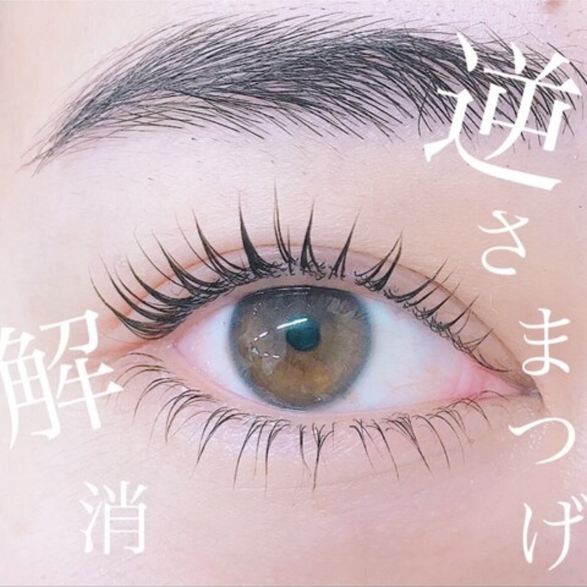【トレンド束感♪トリートメント仕上げ】まつ毛パーマ(上下)￥5500