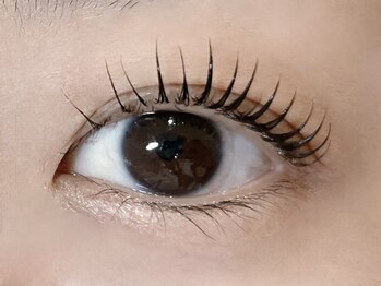 ティプリ(Tipre)の写真/自まつげを最大限に活かしてボリューム感のあるぱっちり目元に☆