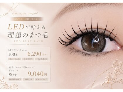 ラシュシュ(La chou chou)の写真