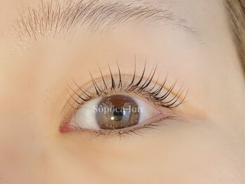 マツエク ソポカロン 阪急桂駅前(sopoca-lon)/阪急桂駅★パリジェンヌラッシュ