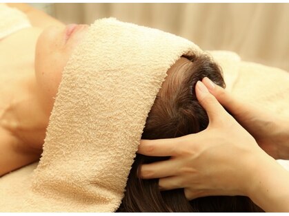 アンジュの写真