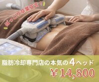 ビーレボリューション(B-REVOLUTION)