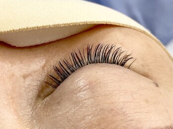 レピ(RePi)/フラットラッシュ180本