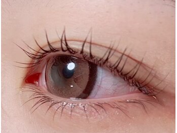 綿帽子 ウイングタウン岡崎店/上下まつげパーマ