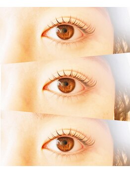 モアナ 逗子 葉山(MOANA)/ノーマルラッシュリフト