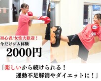 ザワジム(ZAWAGYM)