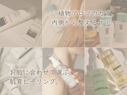 キヌ(KINU)の写真