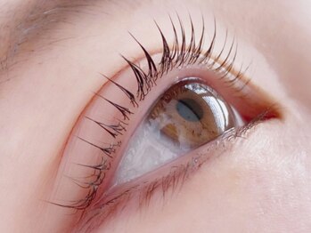 クラリスバイネオ 武蔵小杉(Claris by neo)/ラッシュリフト