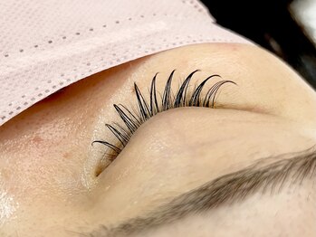 レピ(RePi)/フラットラッシュ80本