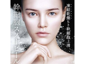 PMK 横浜店の写真/幹細胞スノーピール◆ハリ・ツヤ・弾力／白雪肌へ導くブライトニングケアコース