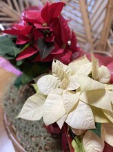 癒し処 いろは/落ち着いた雰囲気の店内 