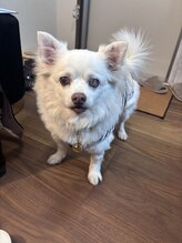 マシェリ(ma-che'rie)/熊本初！ペット同伴サロン併設！