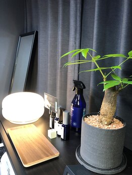 キムラケ(KIMURAKE)/施術中も落ち着くアロマと植物