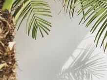 マイレ(Maile)/Maile