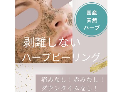 プレジールの写真