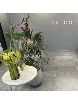 トリコ 調布(TRICO)/店内のお花たち