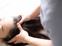 フー(Fuu)の雰囲気（ボディにはヘッドも付きます。肩こり解消はヘッドも重要）