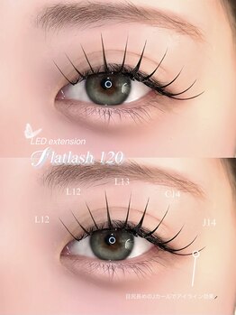 フェイン 渋谷本店(fein.)/立ち上げ流し目design