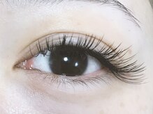 アイラッシュリング(EYELASH RING)/フラットラッシュ200本