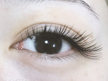 アイラッシュリング(EYELASH RING)/フラットラッシュ200本