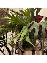 エステティックサロン グリーンアイ 浦和店(green.i)/ララピール／小顔/たるみ/毛穴