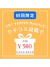 ご新規様限定♪初回クチコミ投稿で次回【500円キャッシュバック】クーポン