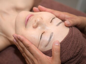 ジェルベラ(gerbera)/