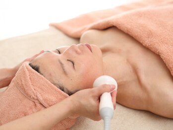 リプラス(Replus)/エレクトロポレーション