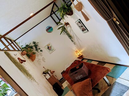 アイリス(Iris)の写真